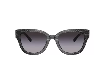 Coach Cl920 Solbriller HC 8379U 55208G