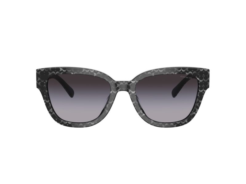 Coach Cl920 Solbriller HC 8379U 55208G