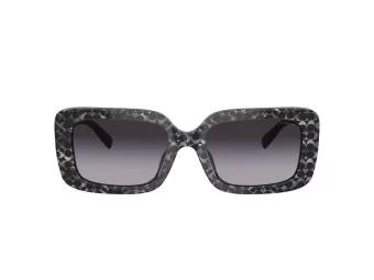 Coach Cl922 Solbriller HC 8380U 55208G