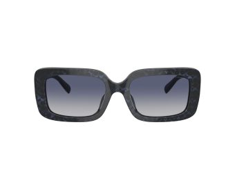 Coach Cl922 Solbriller HC 8380U 57654L