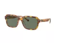 Coach Cl914 Solbriller HC 8388U 57563H