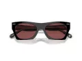 Coach Cl917 Solbriller HC 8389U 572875