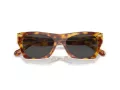Coach Cl917 Solbriller HC 8389U 575687
