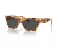 Coach Cl917 Solbriller HC 8389U 575687