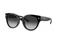 Coach Cr612 Solbriller HC 8393U 50023C