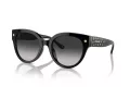 Coach Cr612 Solbriller HC 8393U 50023C