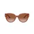 Coach Cr612 Solbriller HC 8393U 577413