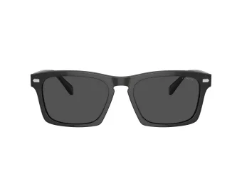 Coach Cr628 Solbriller HC 8397U 581787