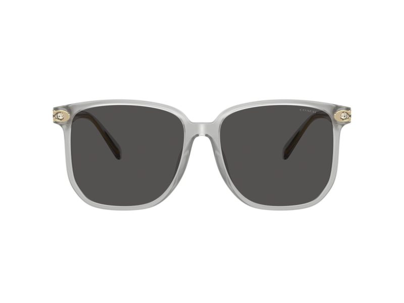 Coach Cw419 Solbriller HC 8413BD 561487