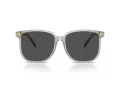 Coach Cw419 Solbriller HC 8413BD 561487