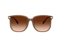 Coach Cw419 Solbriller HC 8413BD 580874