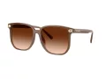 Coach Cw419 Solbriller HC 8413BD 580874