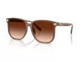 Coach Cw419 Solbriller HC 8413BD 580874