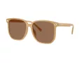 Coach Cw419 Solbriller HC 8413BD 585473