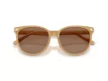 Coach Cw428 Solbriller HC 8414BD 585473