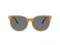 Coach Cw428 Solbriller HC 8414BD 585580