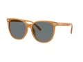 Coach Cw428 Solbriller HC 8414BD 585580