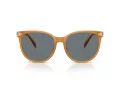 Coach Cw428 Solbriller HC 8414BD 585580