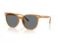 Coach Cw428 Solbriller HC 8414BD 585580