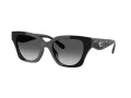 Coach Cad18 Solbriller HC 8418U 5002T3