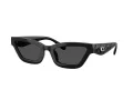 Coach Cad28 Solbriller HC 8420U 500287