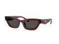 Coach Cad28 Solbriller HC 8420U 587487