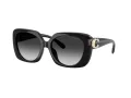 Coach Cad33 Solbriller HC 8422U 50023C