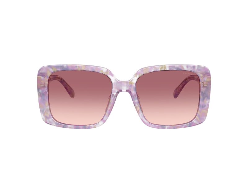 Coach Cad54 Solbriller HC 8424U 58677W