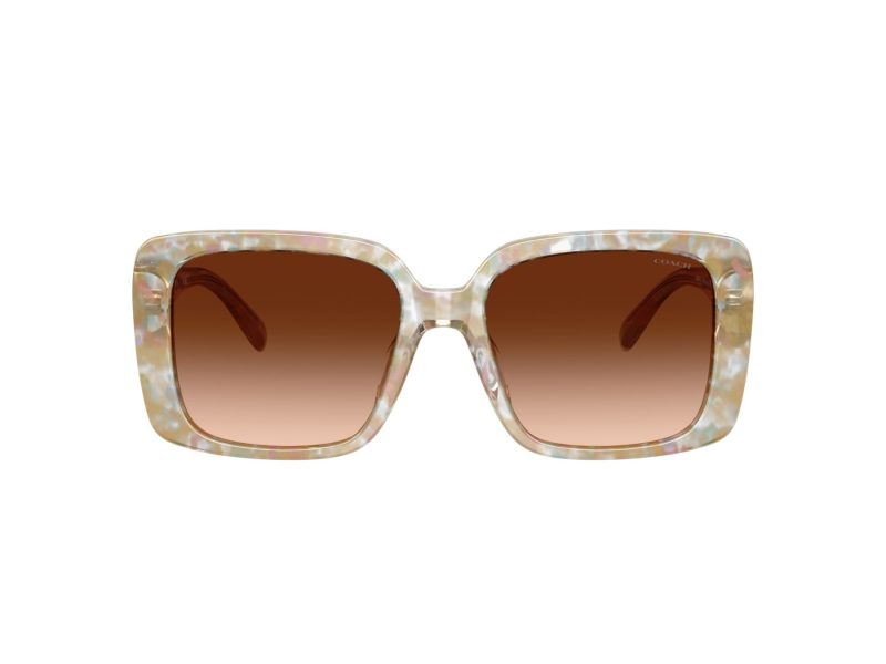 Coach Cad54 Solbriller HC 8424U 586874