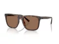 Coach Cae78 Solbriller HC 8427U 512073