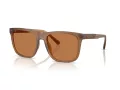 Coach Cae78 Solbriller HC 8427U 587673