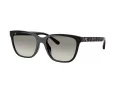 Coach Cae86 Solbriller HC 8429D 50023C