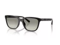 Coach Cae86 Solbriller HC 8429D 50023C