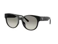 Coach Cae87 Solbriller HC 8430D 50023C