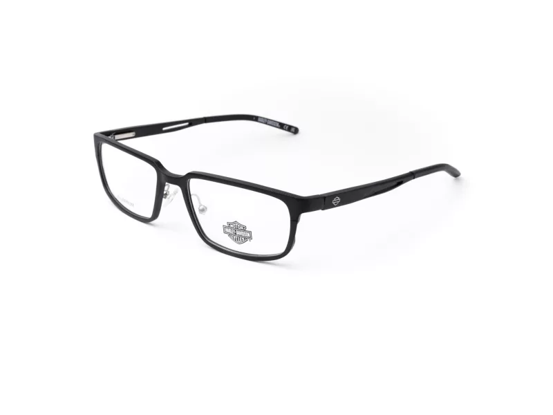 Harley-Davidson Briller HD 50029 009
