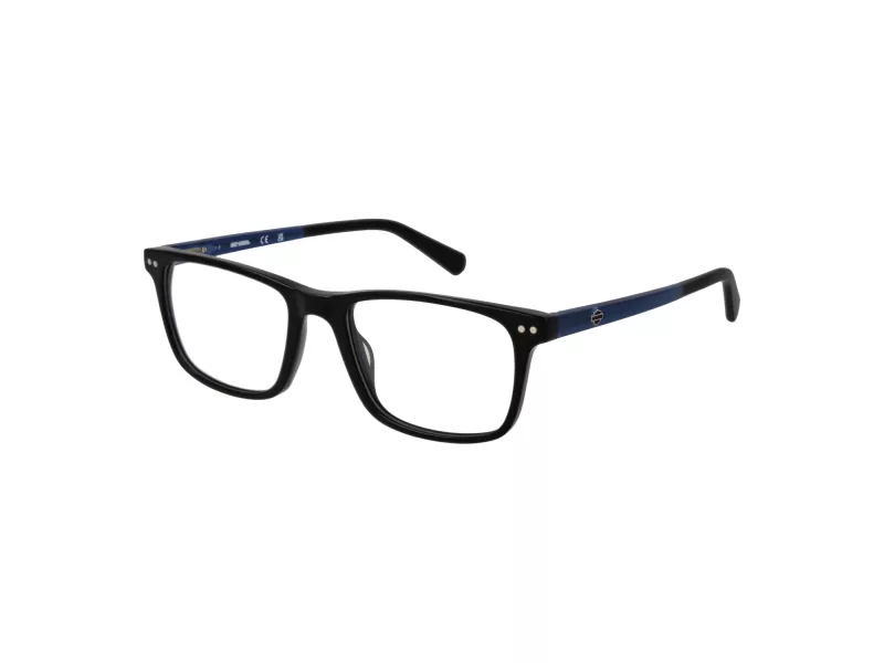 Harley-Davidson Briller HD 50034 001