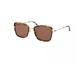 Ana Hickmann Solbriller HI 3220 G21