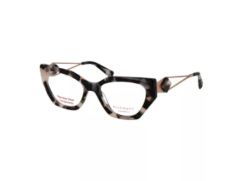 Ana Hickmann Briller HI 6300 G21