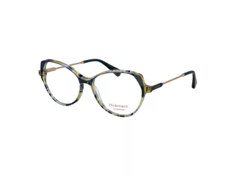 Ana Hickmann Briller HI 6317 G22