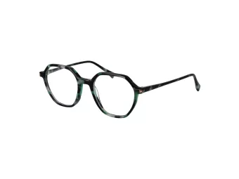 Ana Hickmann Briller HI 6335 G21