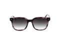 Ana Hickmann Solbriller HI 9169 E01