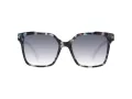 Ana Hickmann Solbriller HI 9170 G21