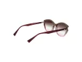 Ana Hickmann Solbriller HI 9185 C01
