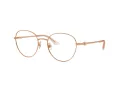 Jimmy Choo Briller JC 2004HB 3008