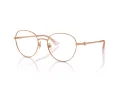 Jimmy Choo Briller JC 2004HB 3008