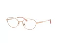 Jimmy Choo Briller JC 2009D 3008