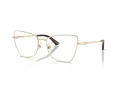 Jimmy Choo Briller JC 2010HB 3006