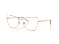 Jimmy Choo Briller JC 2010HB 3008