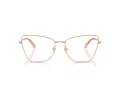 Jimmy Choo Briller JC 2010HB 3008