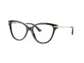Jimmy Choo Briller JC 3001B 5002